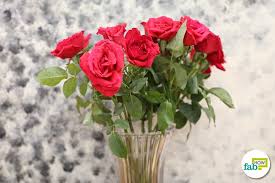 Professional florists and commercial growers always use lukewarm water for their cut flowers. Easy Tricks To Keep Flowers Fresh For Longer 9 Pro Ideas Fab How