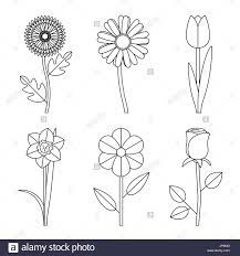 Disegni da colorare e stampare per bambini. Disegni Fiori