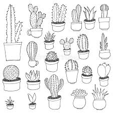 You can draw this flower freehand while. Cactus Drawing Stock Illustrations 28 230 Cactus Drawing Stock Illustrations Vectors Clipart Dreamstime