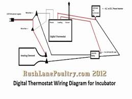 Here is wiring diagram here is complete easy manual for stc 1000 temperature controller now i describe buttons: Stc 1000 Digital Thermostat Using Solid State Relay Wiring Diagram Youtube