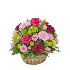 There was a time when it was not easy carrying flowers even to a different place as they all die out by the time we floraindia is one of the biggest florists in india, we exclusively deliver your gifts in india only. Send Gifts To Australia Online Gifts Delivery In Australia Igp Com