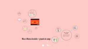 O vena aparte a marii circulatii este vena porta,care transporta spre ficat sange incarcat cu substante nutritive rezultate in urma absorbtiei. Marea Si Mica Circulatie By Miclea Ana