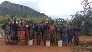 Image result for Burttdavya