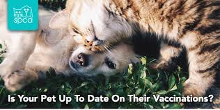 2 laws of malaysia act 772. Animal Welfare Act 2015 Gazetted Spca Selangor