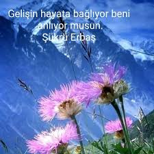 Gelisin Hayata Bagliyor Beni Anliyor Musun Hayaller Che Guevara Gelin