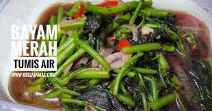 Dengan begitu, khasiat daun bayam dapat membantu tubuh melawan. Bayam Merah Tumis Air Ini Adalah Bellarina Natasya