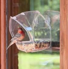 Bird seed preferences chart & keeping feeders clean. Feeding Birds In Winter Safe Wings Ottawa