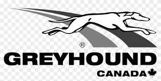 We want to showcase our amazing hounds in the best way possible and make sure you get the proper information you need before adopting. Greyhound Canada Logo Png Transparent Greyhound Logo Png Clipart 4191707 Pikpng