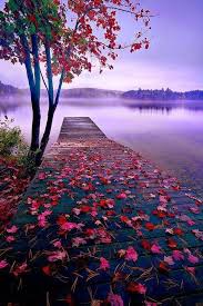 We handpicked more than 600,000 nature pictures for your choosing. Jeanette On Twitter Nature Photography Beautiful Nature Nature