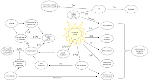 We would like to show you a description here but the site won't allow us. Nutrients Free Full Text Two Faces Of Vitamin C In Hemodialysis Patients Relation To Oxidative Stress And Inflammation
