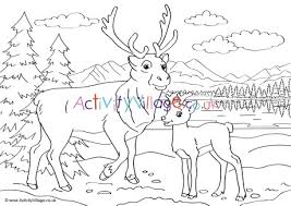 More member exclusive christmas coloring pages. Reindeer Scene Colouring Page