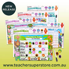 Magnetic Reward Chart Big Kids Teaching Aids Teaching