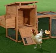 Amazon.com: PawHut Gallinero de madera de 75 pulgadas con ...