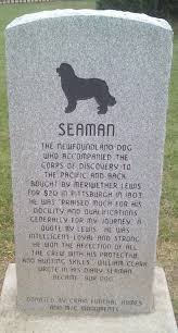 Meriwether Lewis S Dog Seaman Newfoundland Dog Lewis And Clark Seaman