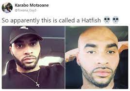 Hatfish Know Your Meme
