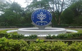 Ya bagi yang belum tau di sekolah vokasi ipb terdapat dua jalur yang pertama usmi dan yang kedua utmi. Ipb Bebaskan Bpif Bagi Mahasiswa Tidak Mampu Okezone News