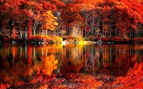 Right now we have 63+ background pictures, but the number of images is growing, so add the webpage to bookmarks and. Scenic View Of Autumn Wallpapers Wallpaper Cave