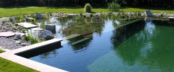 Having a tranquil and happy backyard is a wonderful way of relieving. All About Natural Swimming Pools Ecohome