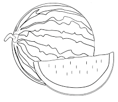 1.10 sketsa buah buahan (jeruk). Gambar Mewarnai Buah Semangka Buku Mewarnai Buah Warna