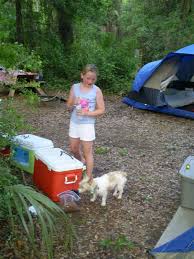 It's too perfect for that. Edisto Beach State Park A South Carolina State Park Located Near Beaufort Johns Island And Goose Creek