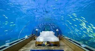 Como ya era de noche, lo ideal era dormir en malé y cambiar de isla. Visita Este Hotel Con Espectaculares Atractivos Bajo El Agua National Geographic En Espanol