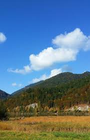 Lesen sie hier alle informationen der faz zu den wettkämpfen in ruhpolding. Mtb Fur Anfanger Die Rothelmoos Runde Im Chiemgau Gipfelgluck