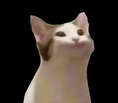 Pog Cat On Coub