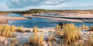 Notre réseau de partenaires fournit notre site avec des actualités concernant leur ville. Contis Plage In Saint Julien En Born Cote Landes Nature Tourisme