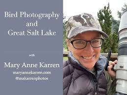 Musings of a bird photographer — Mary Anne Karren