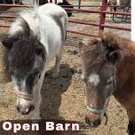 Open Barn — Bowers Farm