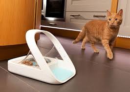This Pet Feeder Scans Your Pet To Make Sure The Right Pet Eats The Right Food Pet Feeder Your Pet Cat Supplies