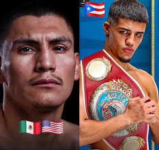 Reading boxing event highlights and results