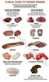 raw feeding community chart cats and dogs house