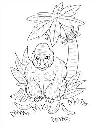 Gorillas coloring pages elegant best gorilla to print 4. Printable Gorilla Coloring Page