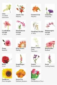Different types of flowers with pictures. Language Of Flower Different Types Flowers Embroidery Flower Types Png Image Transparent Png Free Download On Seekpng