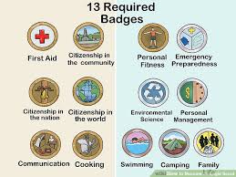 How To Become An Eagle Scout 13 Steps With Pictures Wikihow