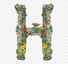 Download letter h stock photos. Alphabet Letter H Rustic Timber Bark Transparent Letter H Hd Png Download 500x720 2249230 Pngfind