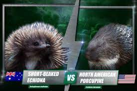 The iucn will not add species to the least concern list unless scientists have evaluated them. 6 Native Animals That Are Better In Sa Good Living