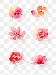 Plum Petals Plum Flower Red Branches Png Transparent Clipart Image And Psd File For Free Download Flower Drawing Hand Drawn Flowers Pink Flowers Background