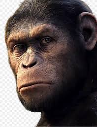 Tom Felton In Rise Of The Planet Of The Apes Clip Tom Felton Rise Of The Planet Of The Apes Youtube Film Png 833x1080px Tom Felton Aggression