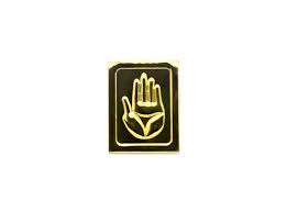Jotaro Kujo Pin Hand Jojo S Bizarre Adventure Jotaro Kujo Jojo Jojo Bizarre