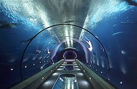 Image Result For Glass Undersea Tunnel