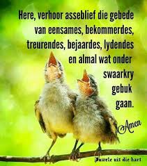 Pin By Zeta Sue Tiley On 2 Boodskapies Bybel Verse Afrikaans Quotes Afrikaanse Quotes Inspirational Qoutes