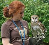 Meet Live Raptors and Other PA Wildlife with the CCEEC