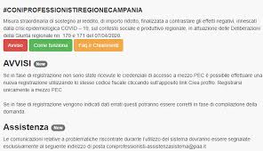 In generale, dunque, le strategie sono diverse e il loro successo dipende prettamente dal contesto. Bonus 1000 Euro Ai Professionisti E Lavoratori Autonomi Regione Campania