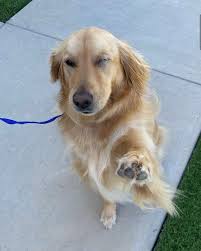 Stroll Buffalo Creek-Teri Preas (@stroll_buffalo_creek) • Instagram photos  and videos