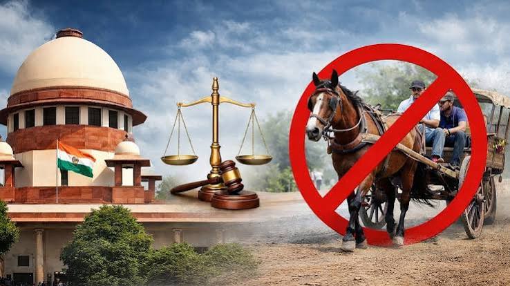Mumbai: Horse Cart Driver Booked For Violating SC Ban And Animal Cruelty Near Wankhede Stadium