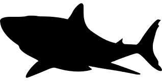 Free Free 112 Free Shark Jaws Svg SVG PNG EPS DXF File