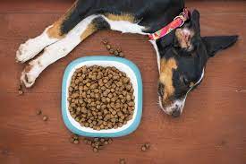 We all want a dog food brand we can. Top 8 Dog Food Brands In India 2021 Homemify
