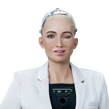 Sophia explores the liminal aspects of the human being, by mirroring both human forms and being in technological and artistic performances. Sophia Hanson Robotics